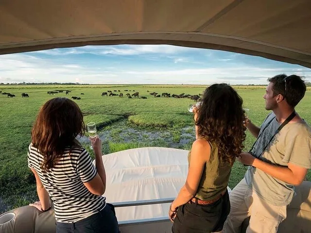 Tourists enjoying a river cruise while watching wildlife on the riverbank