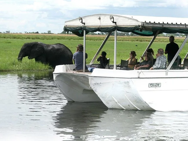 Tourists on a river cruise boat watching an elephant in the water