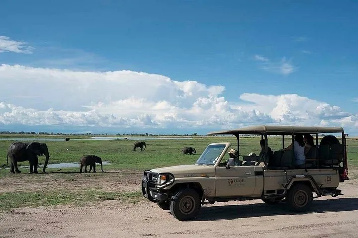 A safari vehicle observing elephants on a grassy plain under a blue sky