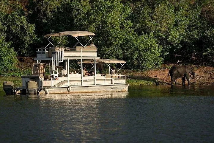 A double-decker pontoon boat on a river near an elephant