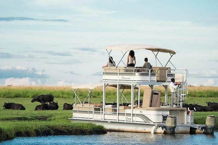 People on a double-decker boat observing water buffalo on the riverbank