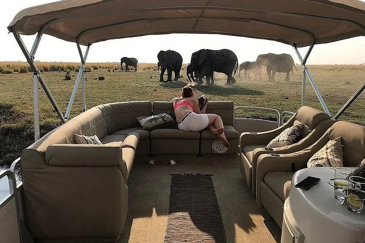 A tourist photographing elephants from the comfortable seating of a pontoon boat