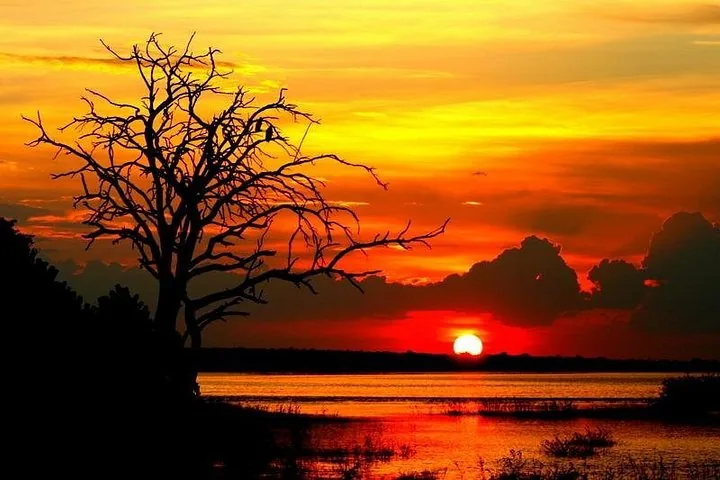 Stunning sunset over the river with a silhouetted tree on the bank